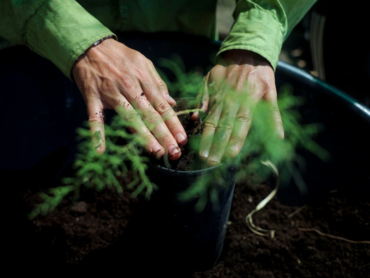 Turismo regenerativo: para eles, a sustentabilidade já não é&nbsp;suficiente