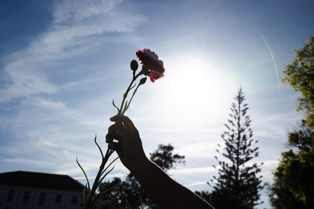 Foto de um cravo vermelho, tirada pelo fotojornalista Duarte Drago
