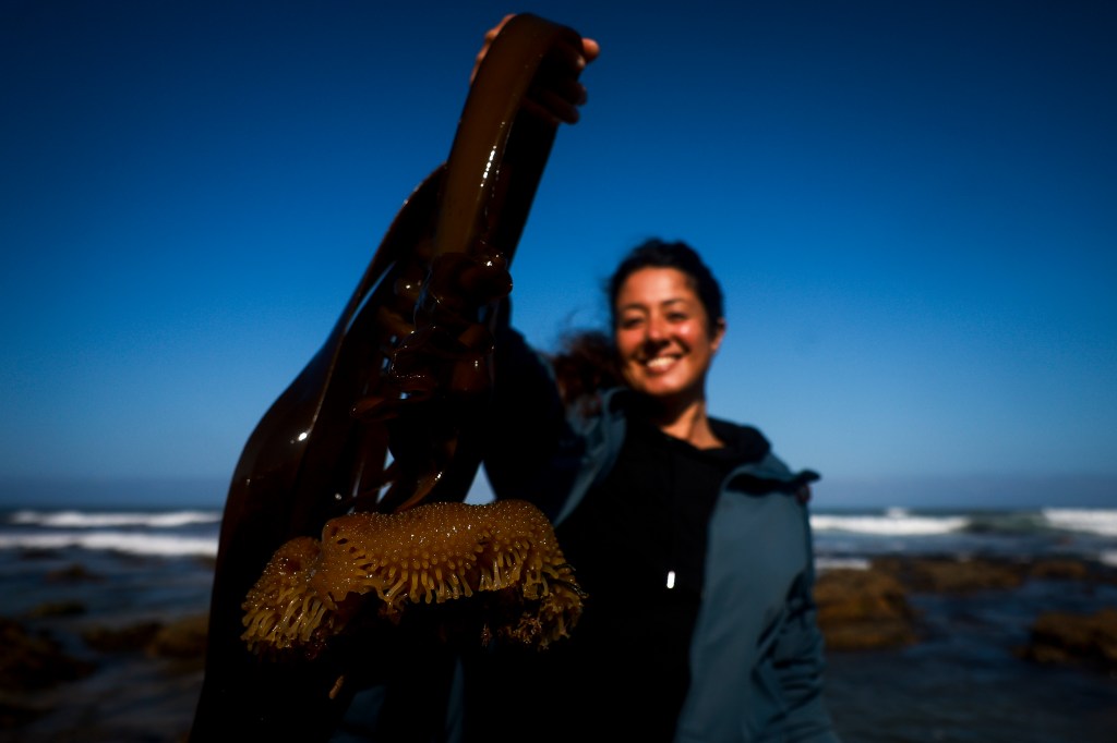 Retrato de Joana Duarte numa Rota das Algas, tirado pelo fotojornalista Nuno Ferreira Santos