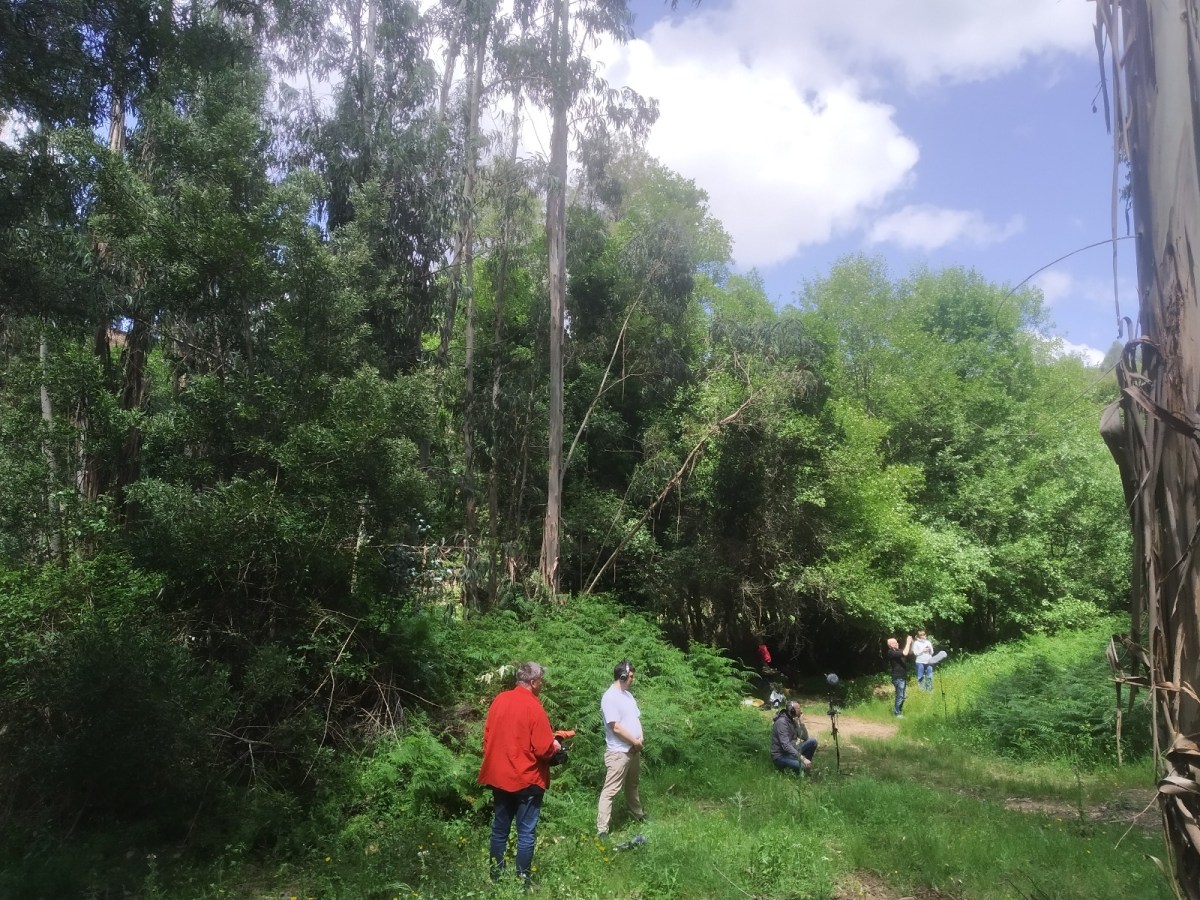 O que é um estúdio? Projecto Echoes of the Ancient reinventa conceito na natureza de&nbsp;Monchique