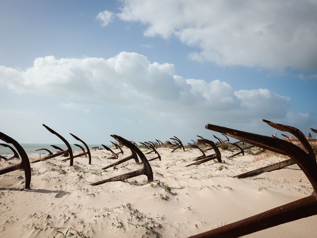 A Rota do Atum do Algarve: “A tourada do mar era uma coisa&nbsp;linda”